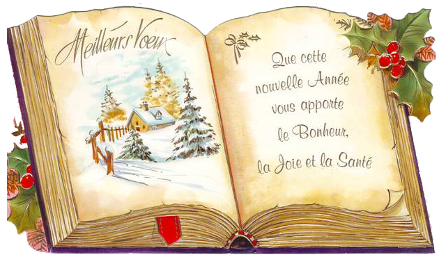 meilleurs voeux